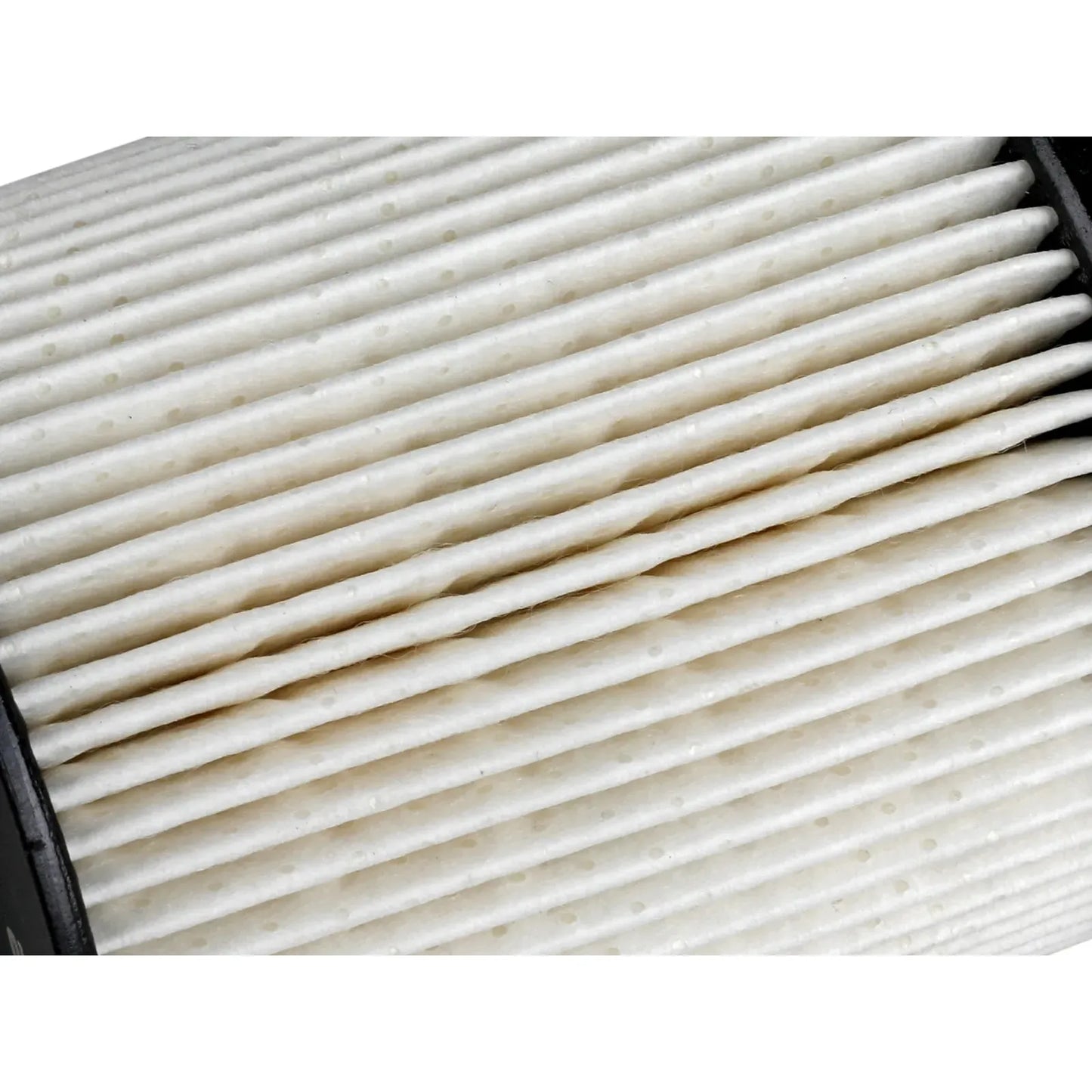AFE ProGuard Fuel Filter, 2020-2025 LM2/LZ0